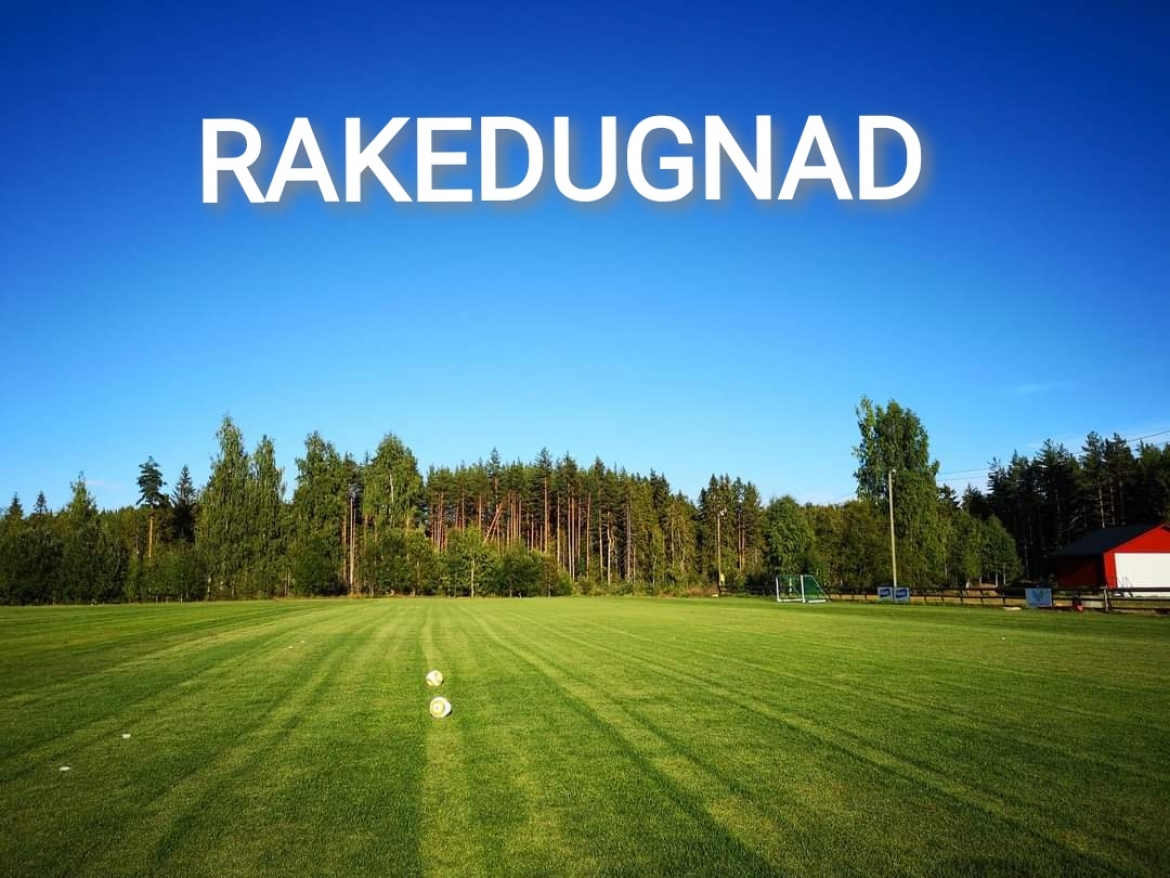 RAKEDUGNAD